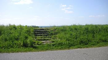 Overgang til stranden