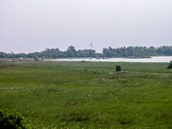 Strandengen set mod 'havnen'